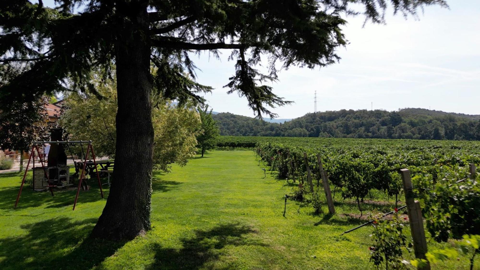 Agriturismo Corte Patrizia Caprino Veronese Exterior photo