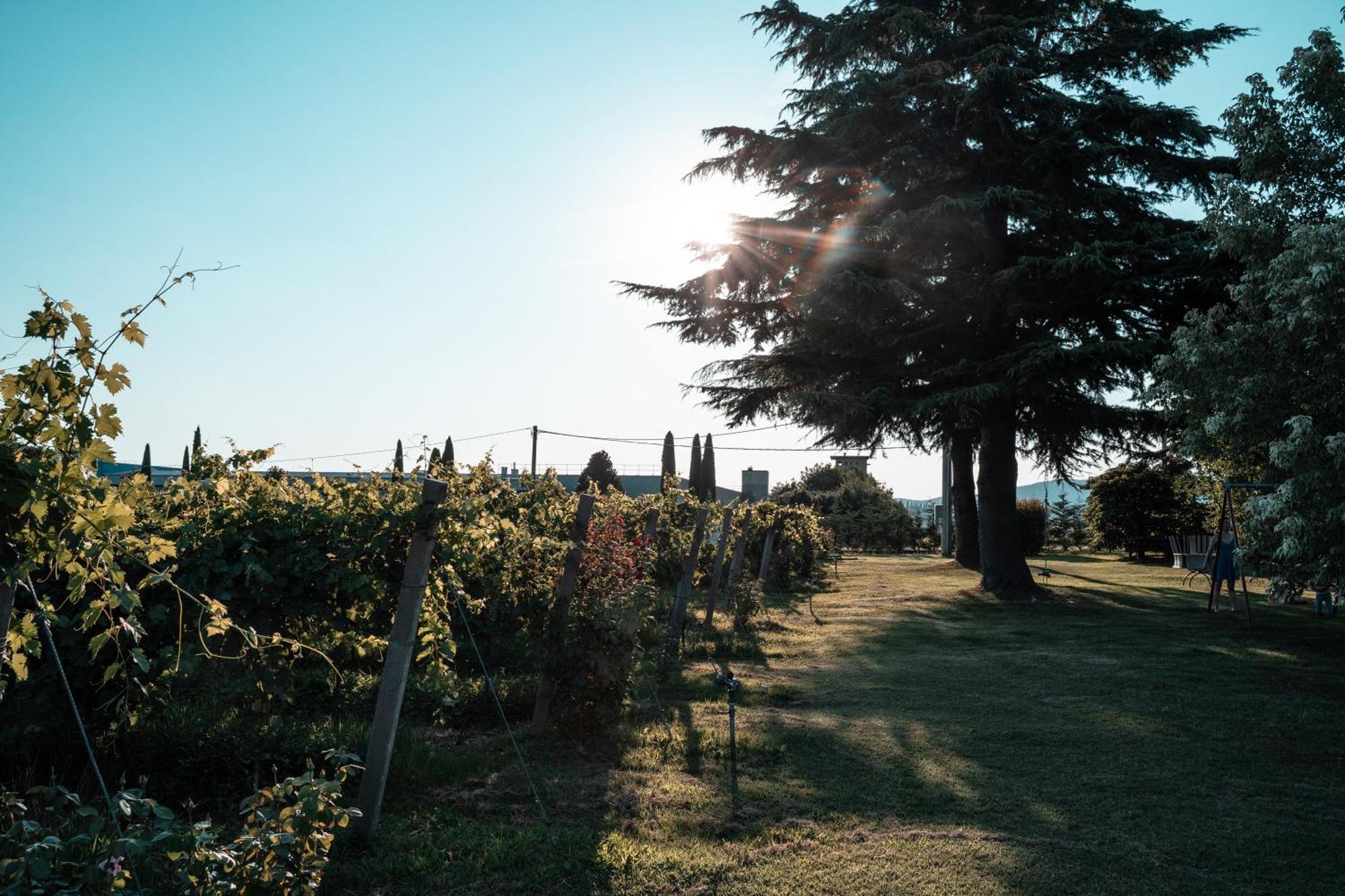 Agriturismo Corte Patrizia Caprino Veronese Exterior photo